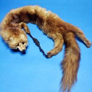 True vintage mink fur stole